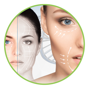 Skin Pliability Skin DNA